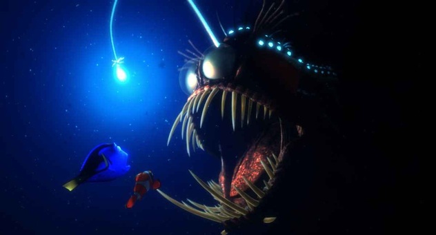 how do the creatures in the abyssal zone survive without sunlight